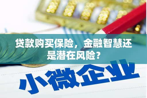 广陵贷款购买保险，金融智慧还是潜在风险？
