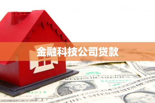 广陵金融科技公司贷款