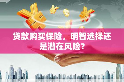 广陵贷款购买保险，明智选择还是潜在风险？