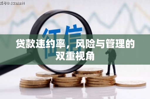广陵贷款违约率，风险与管理的双重视角
