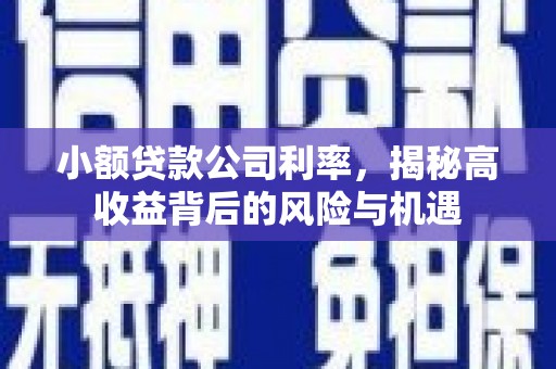 广陵小额贷款公司利率，揭秘高收益背后的风险与机遇
