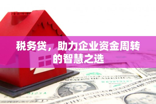 广陵税务贷，助力企业资金周转的智慧之选