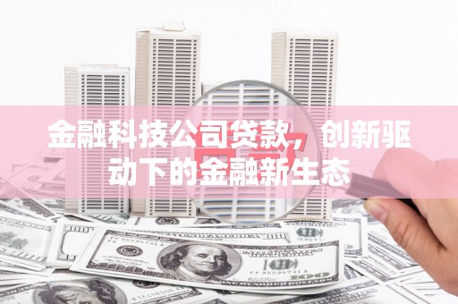 广陵金融科技公司贷款，创新驱动下的金融新生态