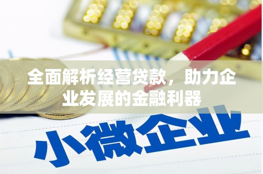 广陵全面解析经营贷款，助力企业发展的金融利器