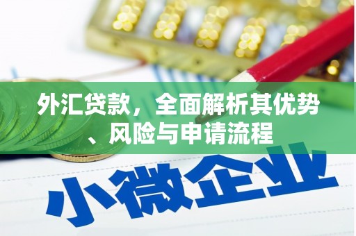 广陵外汇贷款，全面解析其优势、风险与申请流程