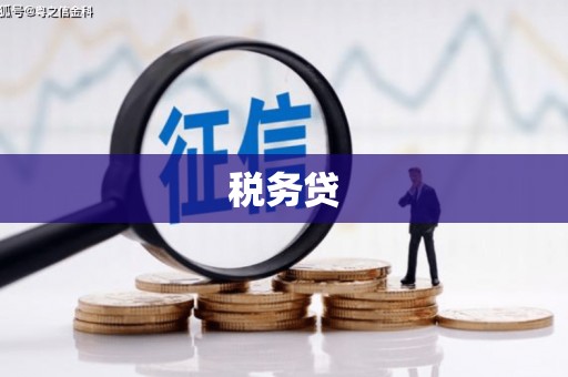 广陵税务贷