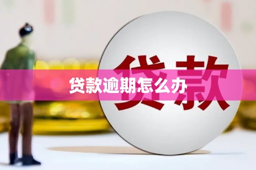 广陵贷款逾期怎么办