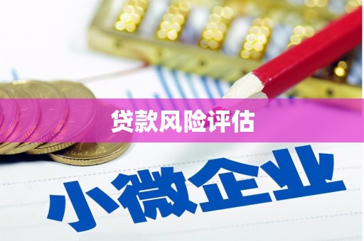 广陵贷款风险评估