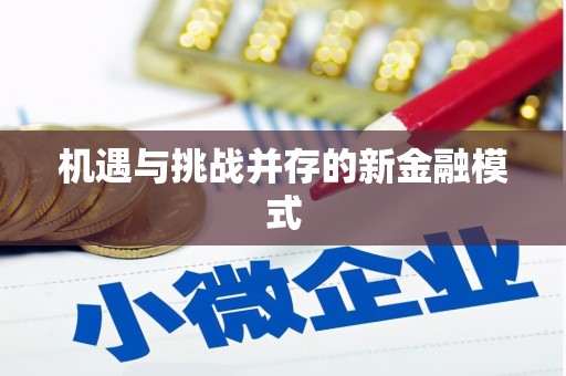 广陵机遇与挑战并存的新金融模式