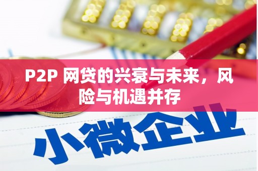 广陵P2P 网贷的兴衰与未来，风险与机遇并存