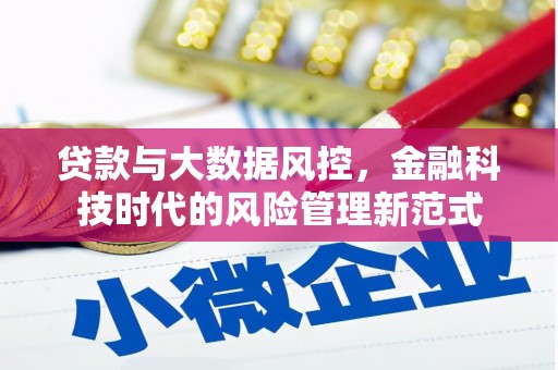 广陵贷款与大数据风控，金融科技时代的风险管理新范式