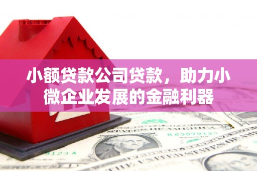 广陵小额贷款公司贷款，助力小微企业发展的金融利器