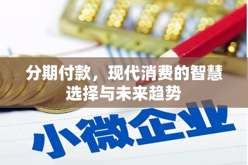 广陵分期付款，现代消费的智慧选择与未来趋势