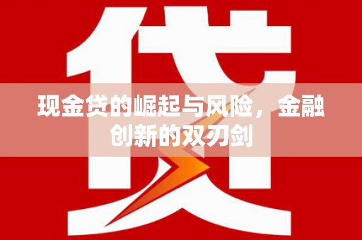 广陵现金贷的崛起与风险，金融创新的双刃剑