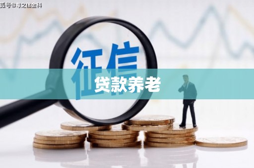 广陵贷款养老