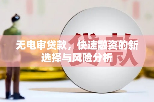 广陵无电审贷款，快速融资的新选择与风险分析