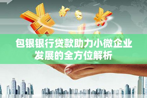 广陵包银银行贷款助力小微企业发展的全方位解析