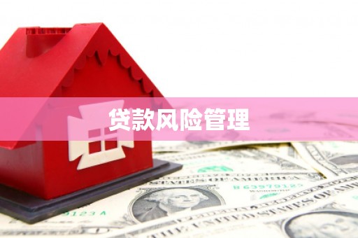 广陵贷款风险管理