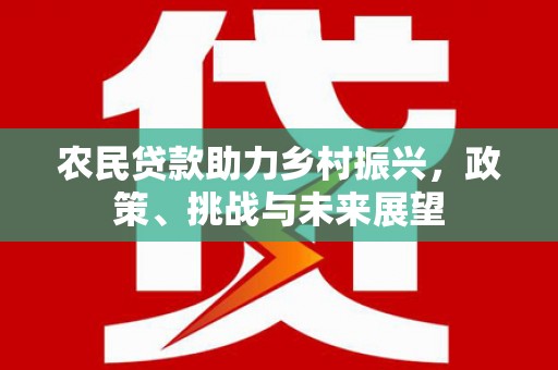 广陵农民贷款助力乡村振兴，政策、挑战与未来展望
