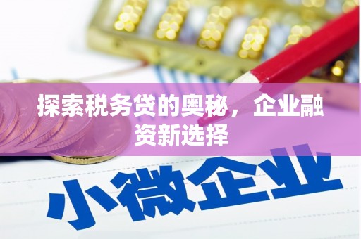 广陵探索税务贷的奥秘，企业融资新选择
