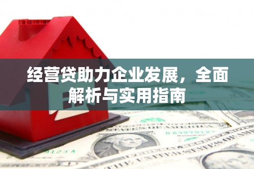广陵经营贷助力企业发展，全面解析与实用指南