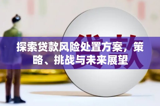 广陵探索贷款风险处置方案，策略、挑战与未来展望