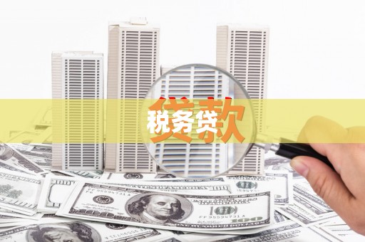 广陵税务贷