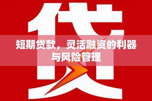 广陵短期贷款，灵活融资的利器与风险管理