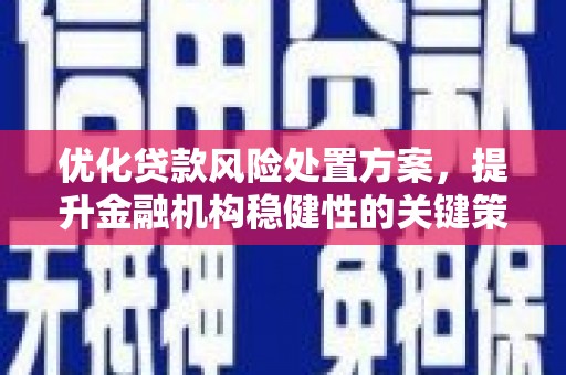 广陵优化贷款风险处置方案，提升金融机构稳健性的关键策略