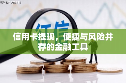广陵信用卡提现，便捷与风险并存的金融工具