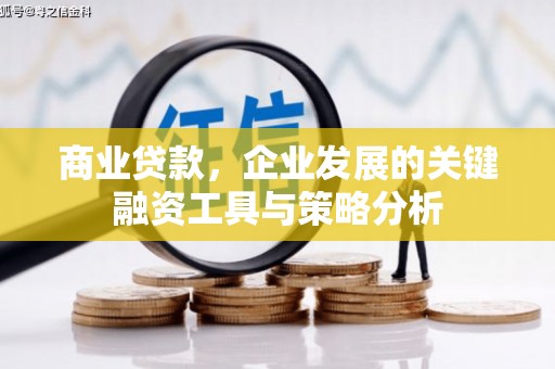 广陵商业贷款，企业发展的关键融资工具与策略分析