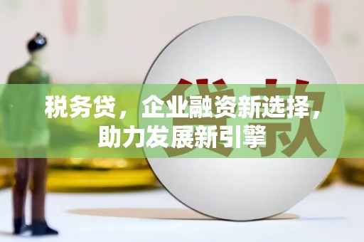 广陵税务贷，企业融资新选择，助力发展新引擎