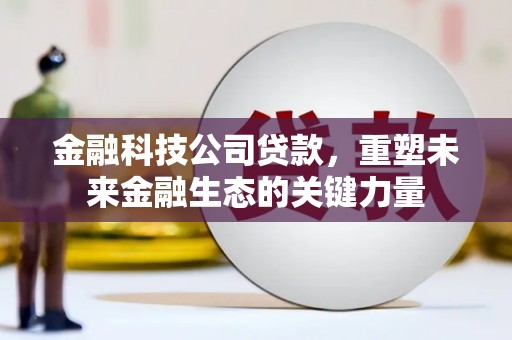广陵金融科技公司贷款，重塑未来金融生态的关键力量