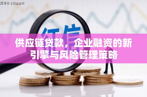 广陵供应链贷款，企业融资的新引擎与风险管理策略