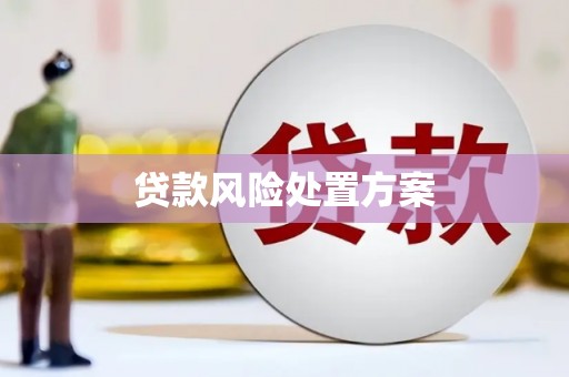 广陵贷款风险处置方案
