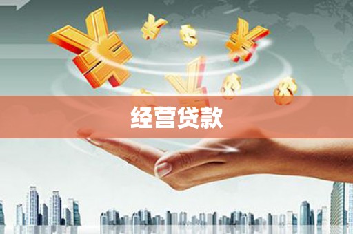 广陵经营贷款