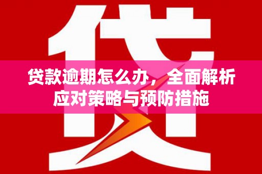 广陵贷款逾期怎么办，全面解析应对策略与预防措施