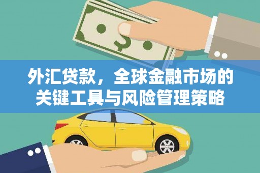 广陵外汇贷款，全球金融市场的关键工具与风险管理策略