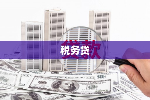 广陵税务贷