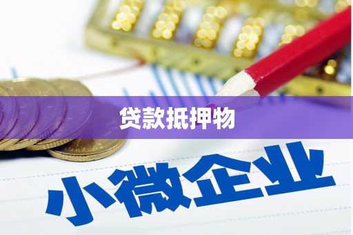 广陵贷款抵押物