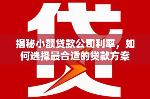 广陵揭秘小额贷款公司利率，如何选择最合适的贷款方案