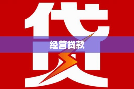 广陵经营贷款