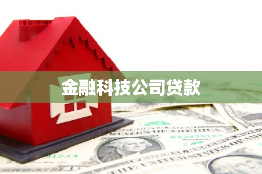 广陵金融科技公司贷款