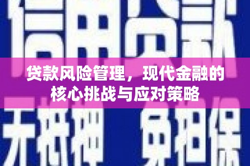 广陵贷款风险管理，现代金融的核心挑战与应对策略