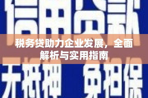 广陵税务贷助力企业发展，全面解析与实用指南