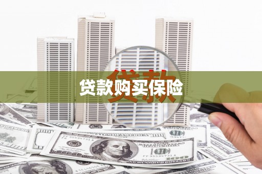 广陵贷款购买保险