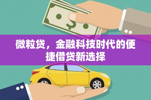 广陵微粒贷，金融科技时代的便捷借贷新选择