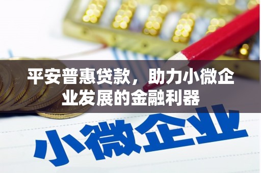广陵平安普惠贷款，助力小微企业发展的金融利器