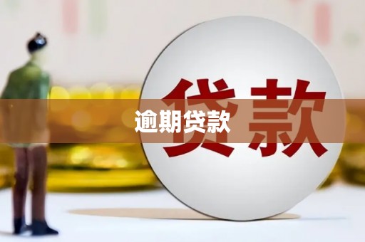 广陵逾期贷款